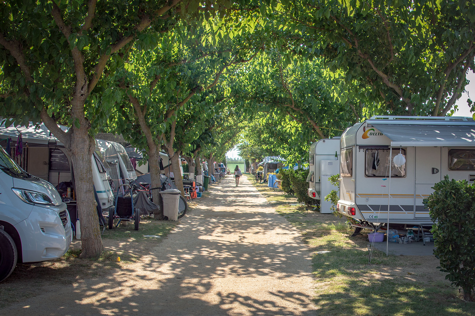 Parcelas muy sombreadas en el camping La Gaviota