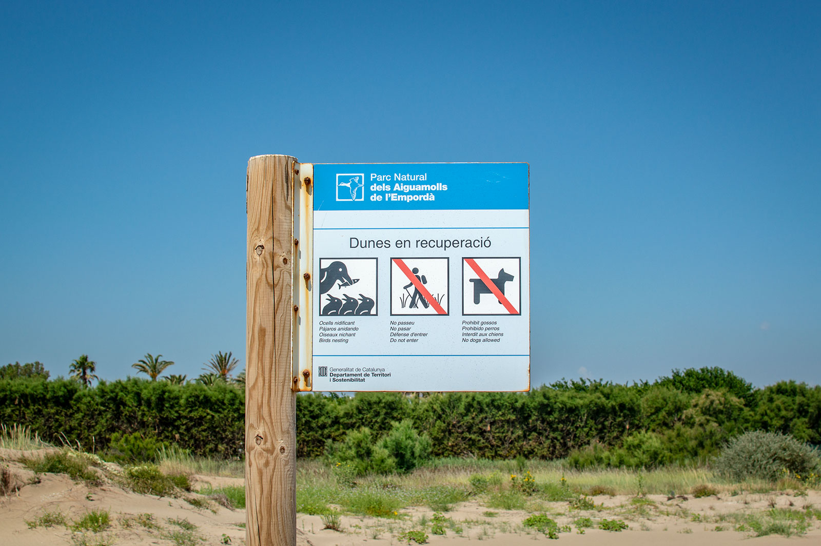 Dunes protegides Sant Pere Pescador