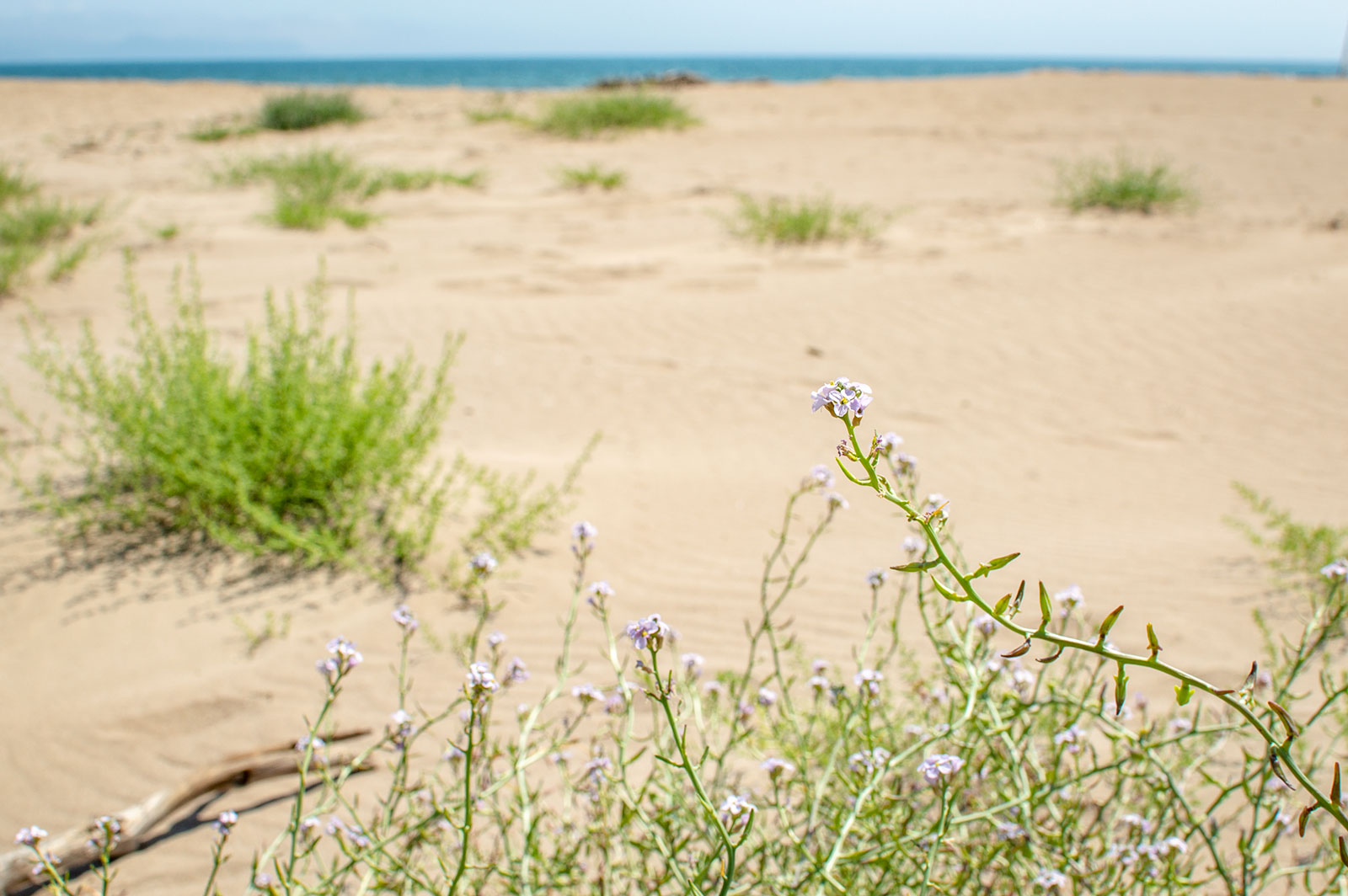 Platja Sant Pere Pescador